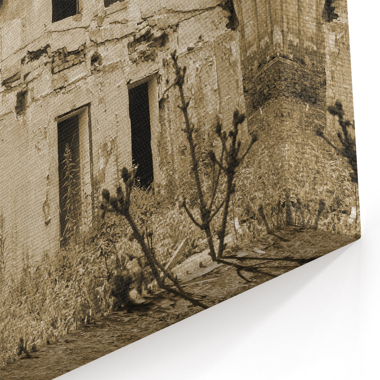 Sepia-Toned Derelict House Art - Vintage Abandoned Architecture Print