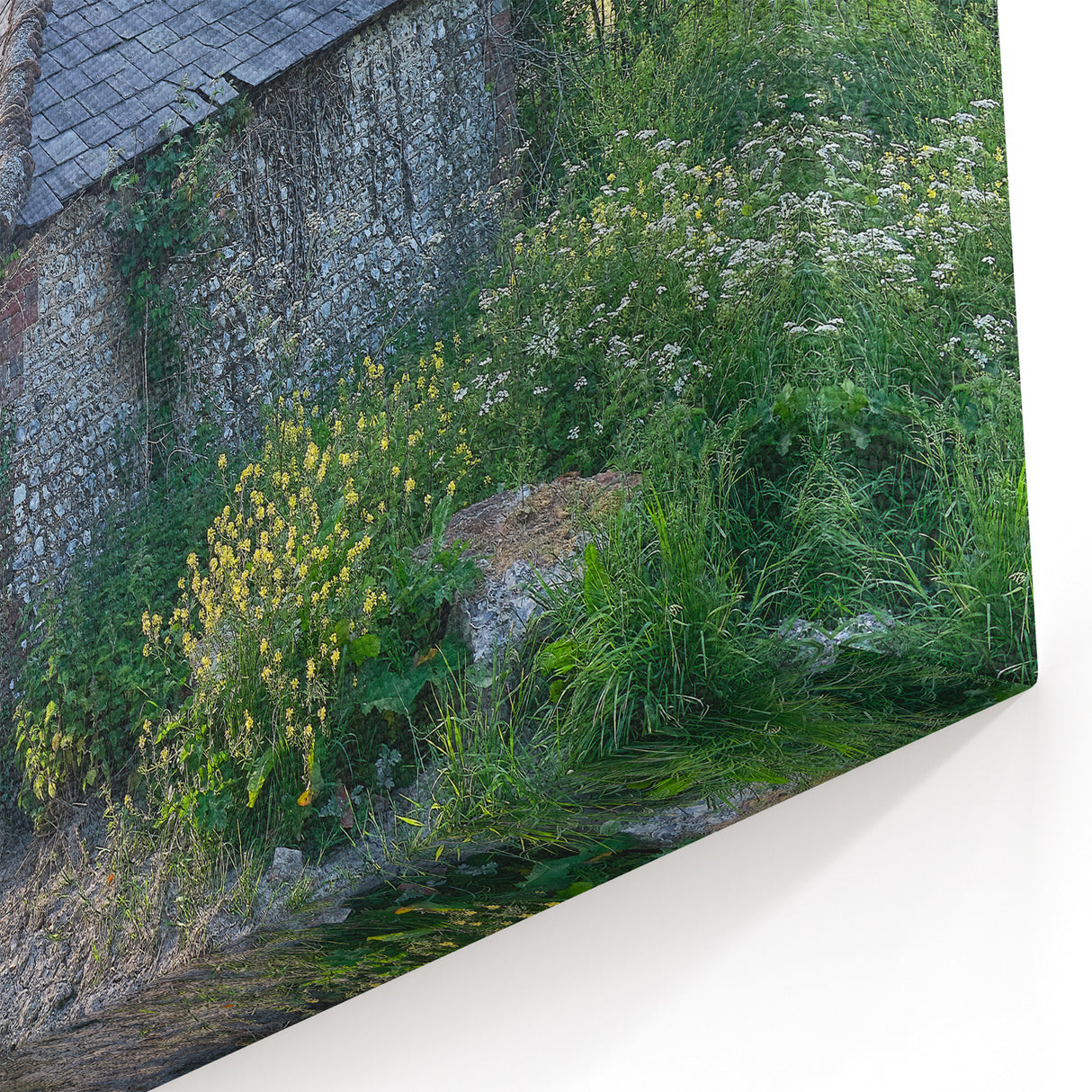 Rustic Abandoned Cottage Art - Overgrown Rural Farmhouse Print