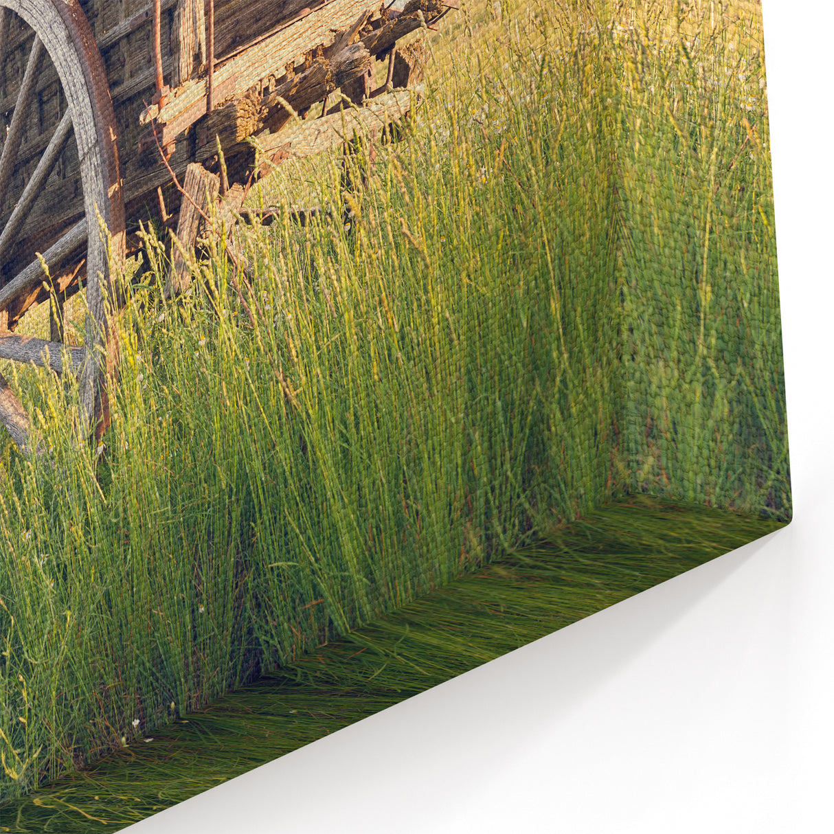 Vintage Wagon Decay Art - Abandoned Rustic Cart in Field Print