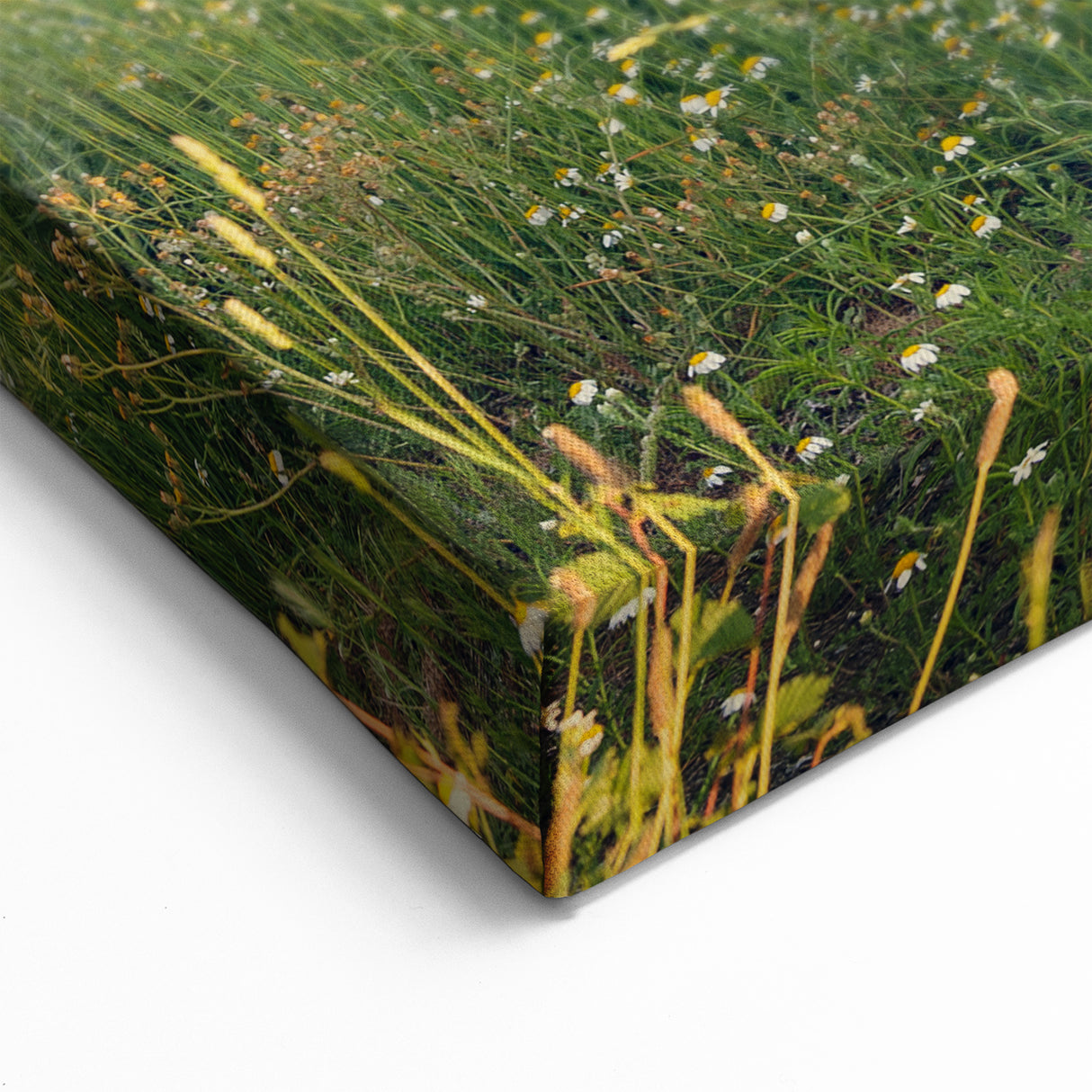 Vintage Wagon Decay Art - Abandoned Rustic Cart in Field Print