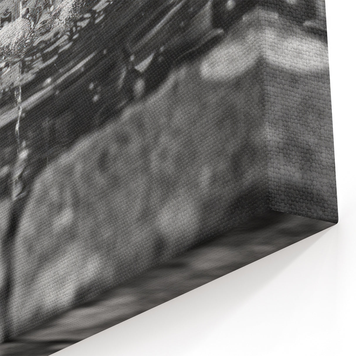 Tranquil Fountain Ripples - Elegant Black & White Fountain Wall Art