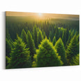 Majestic Sunrise Over Pine Forest - Tree Canvas Prints & Nature Wall Art