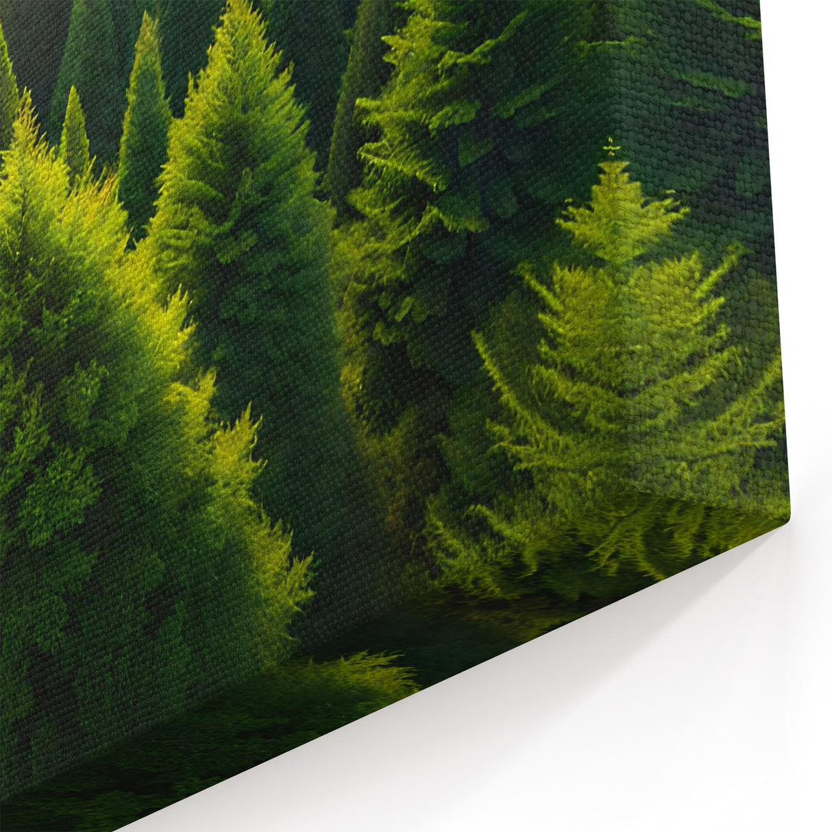 Majestic Sunrise Over Pine Forest - Tree Canvas Prints & Nature Wall Art