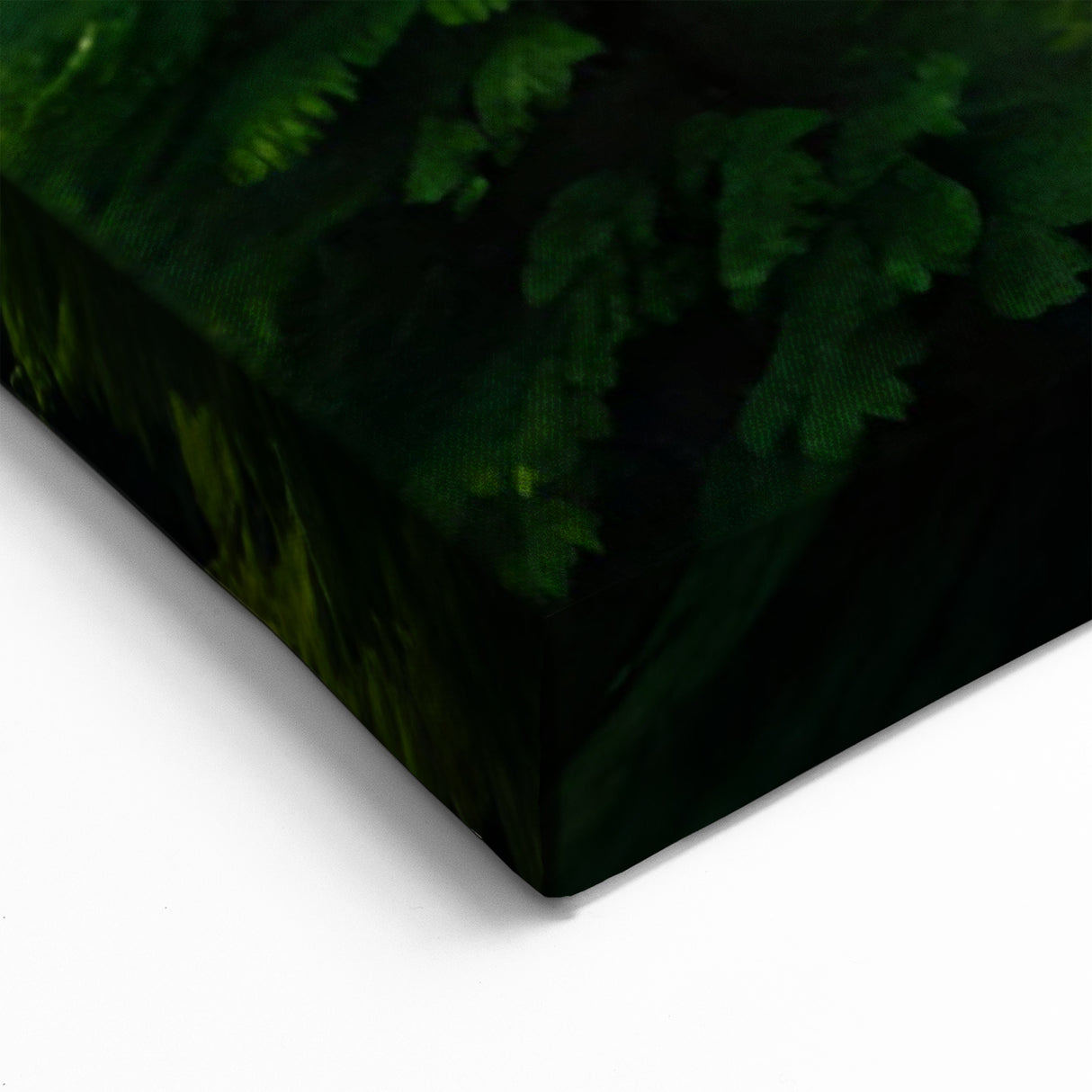 Majestic Sunrise Over Pine Forest - Tree Canvas Prints & Nature Wall Art