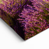 Countryside Wall Art - Lavender Field with Tree Landscape Canvas