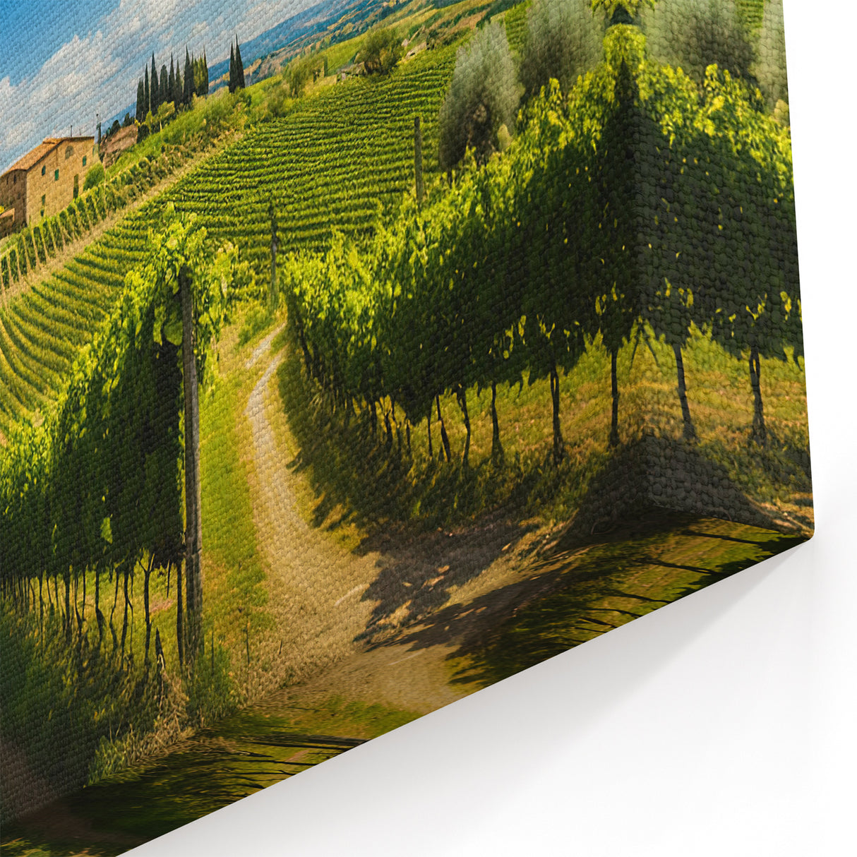 Country Life Art - Scenic Countryside Prints of Rolling Vineyards