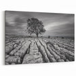 Black and White Art - Minimalist Countryside Landscape with Solitary Tree