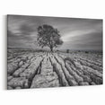 Black and White Art - Minimalist Countryside Landscape with Solitary Tree