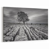Black and White Art - Minimalist Countryside Landscape with Solitary Tree