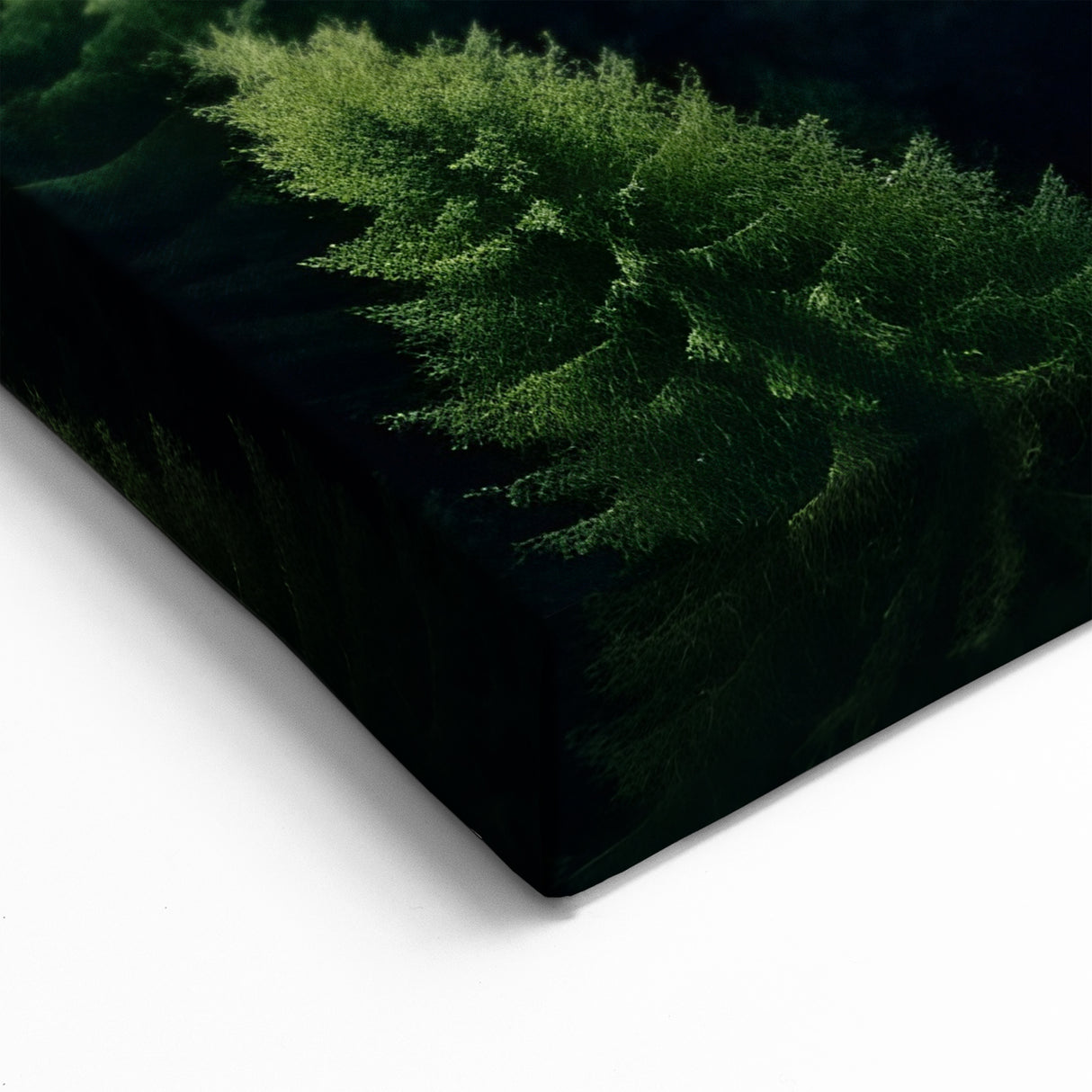 Majestic Forest Road Tree Wall Art - Scenic Landscape Art Prints for Nature Lovers
