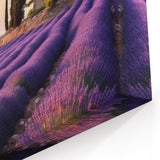 Rustic Lavender Field Art - Countryside Wall Art with Sunset Glow