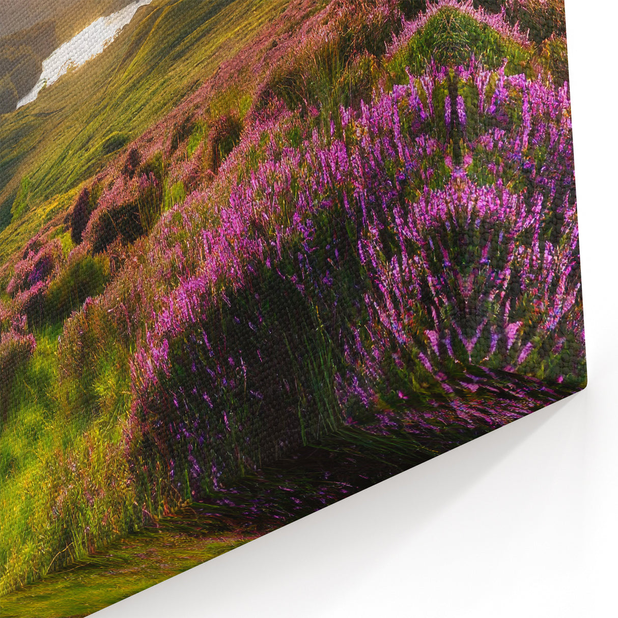 Sunset Countryside Art - Rolling Hills and Heather Fields Wall Decor