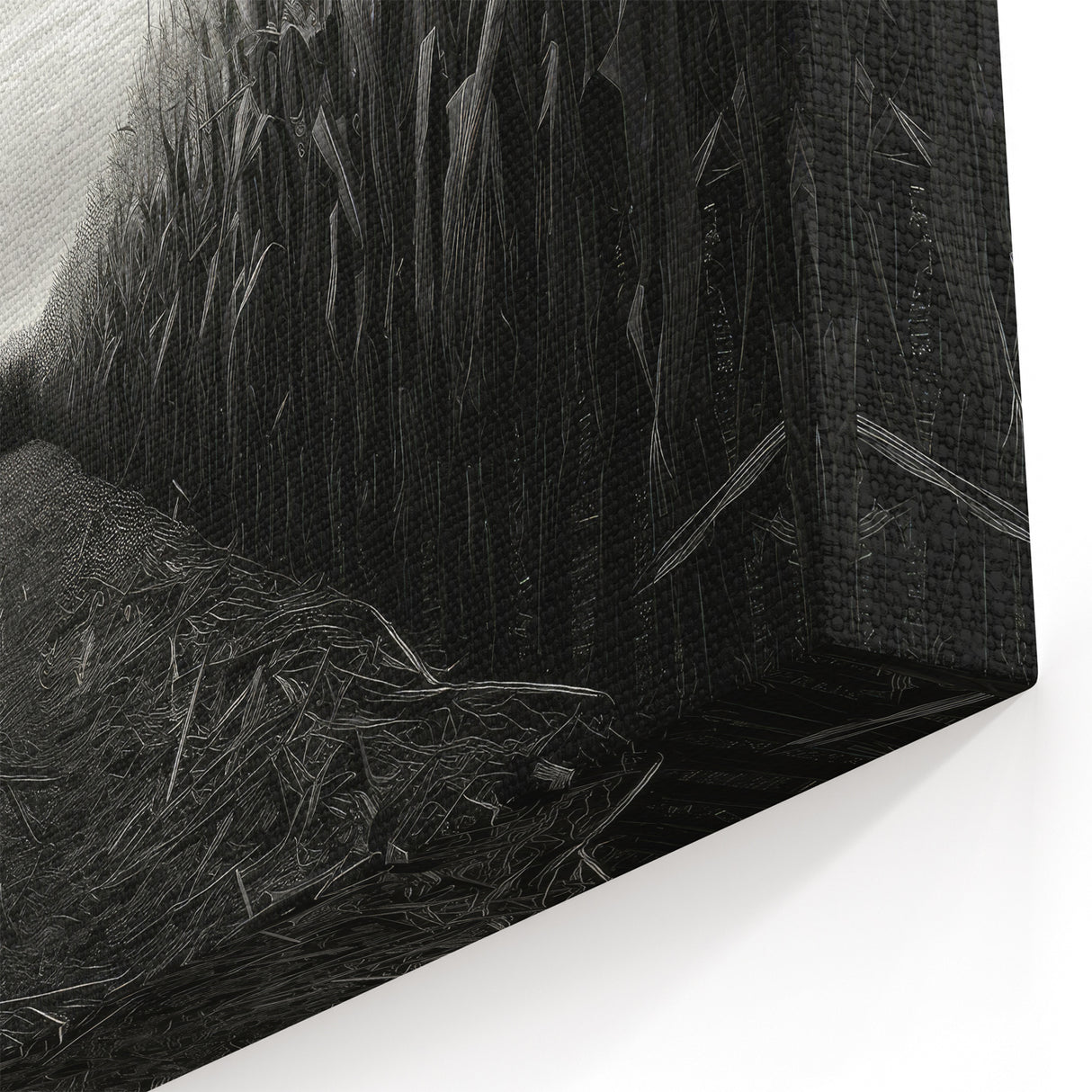 Rural Landscape Canvas - Moody Cornfield Scene in Black and White