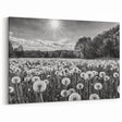 Black and White Countryside Art - Dandelion Field in Sunlight