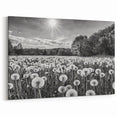 Black and White Countryside Art - Dandelion Field in Sunlight