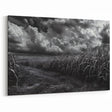 Dramatic Countryside Art - Stormy Sky Over Cornfield Canvas