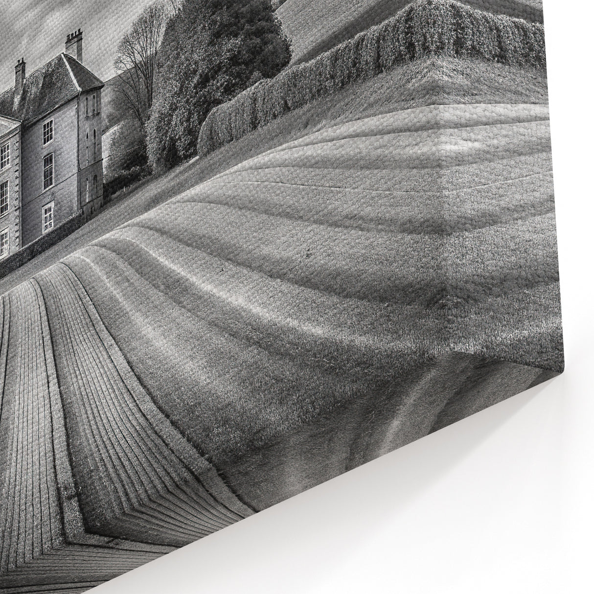 Majestic Manor House Art - Black and White Rolling Fields Canvas