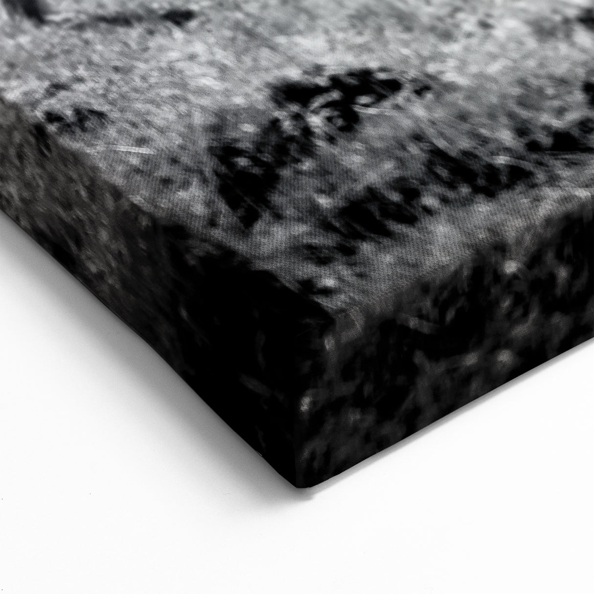 Dramatic Black & White Countryside Wall Art - Rustic Landscape Print