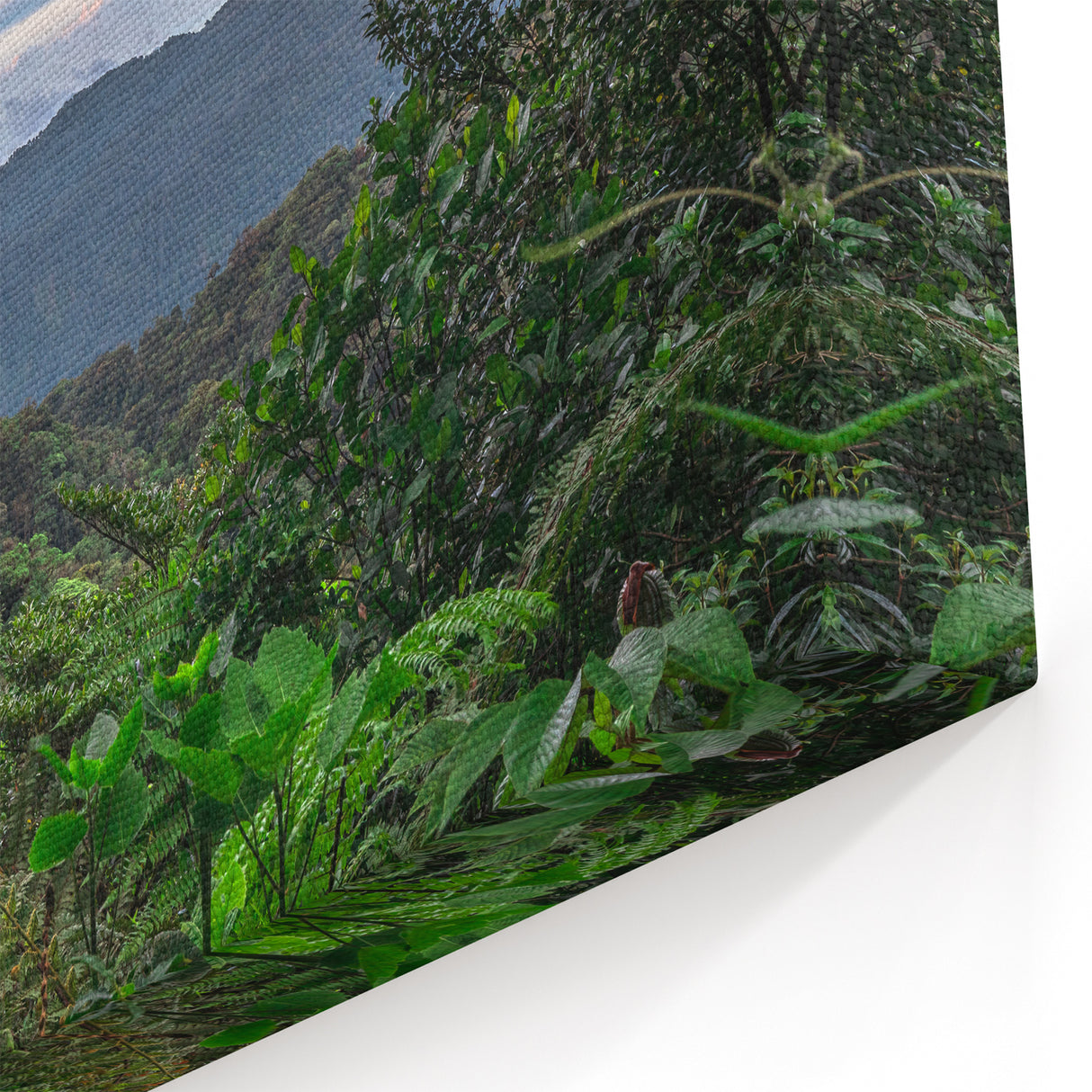 Rainforest Mountain Vista Art - Lush Jungle Landscape Print - Nature Decor