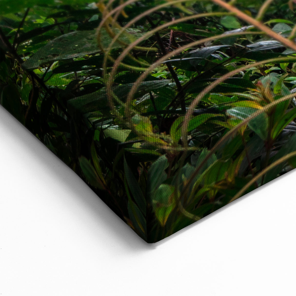 Rainforest Mountain Vista Art - Lush Jungle Landscape Print - Nature Decor