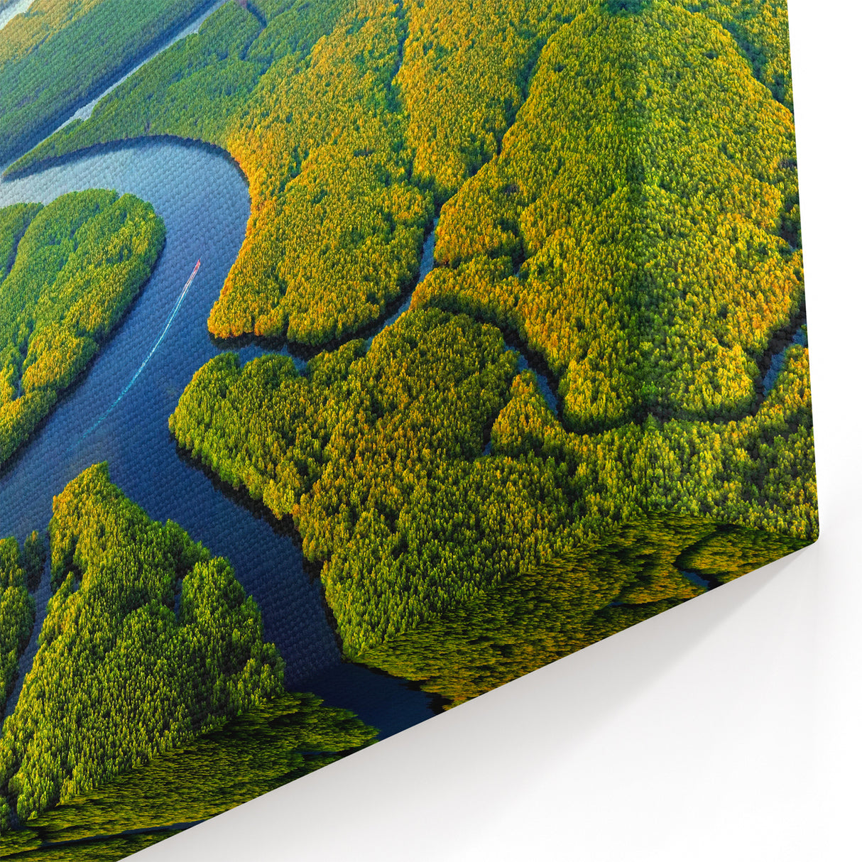 Aerial Rainforest River Art - Serene Jungle Landscape Print - Nature Decor