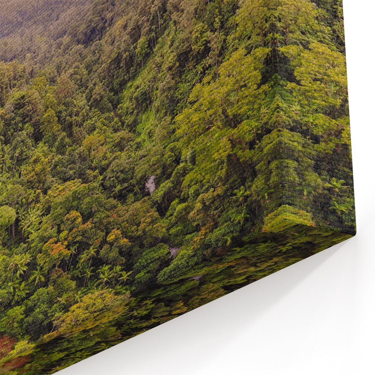 Rainforest Sunset Art - Vibrant Jungle Landscape Print - Nature Decor