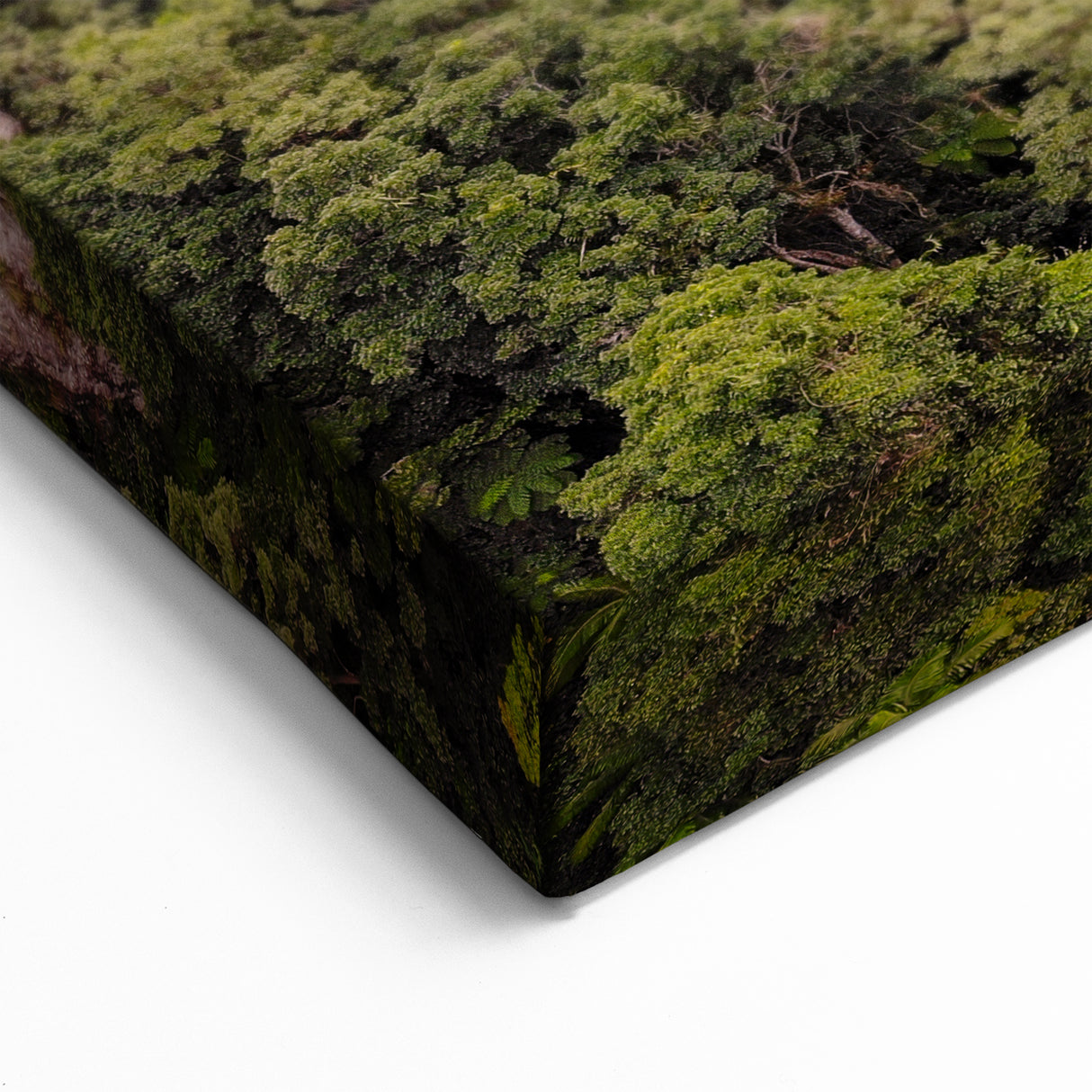 Rainforest Sunset Art - Vibrant Jungle Landscape Print - Nature Decor