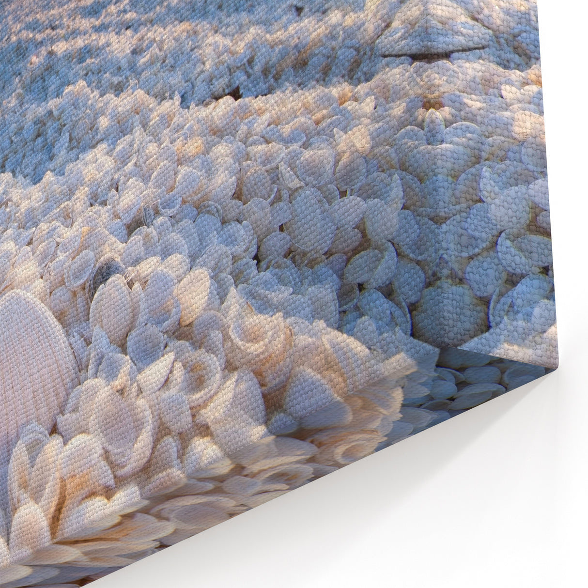 Sunset Seashell Beach - Tranquil Coastal Seascape Wall Art Print