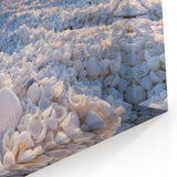 Sunset Seashell Beach - Tranquil Coastal Seascape Wall Art Print