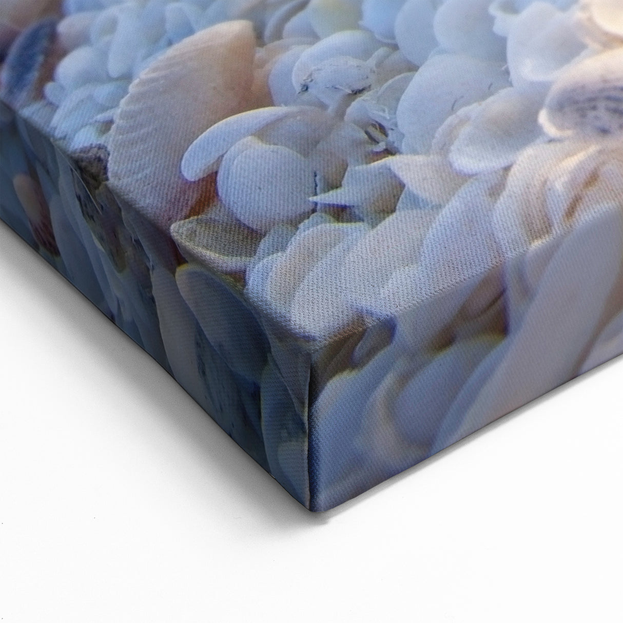 Sunset Seashell Beach - Tranquil Coastal Seascape Wall Art Print