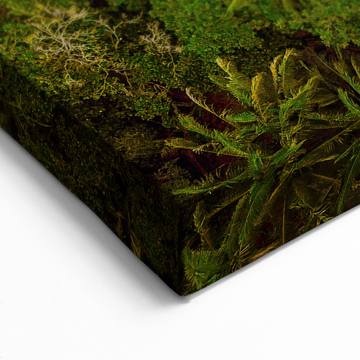 Aerial Coastal View - Stunning Ocean and Forest Seascape Wall Art