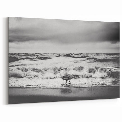 Moody Seagull Seascape - Black and White Coastal Wall Art Print