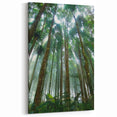 Towering Rainforest Trees Art - Majestic Jungle Landscape Print - Nature Decor