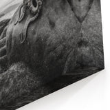 Black and White Octopus Coastal Art - Marine Life Photography Print