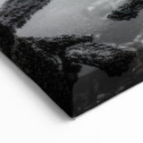 Black and White Octopus Coastal Art - Marine Life Photography Print