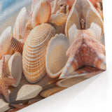 Seashell Collection Beach Art - Coastal Wall Decor for Relaxing Vibes