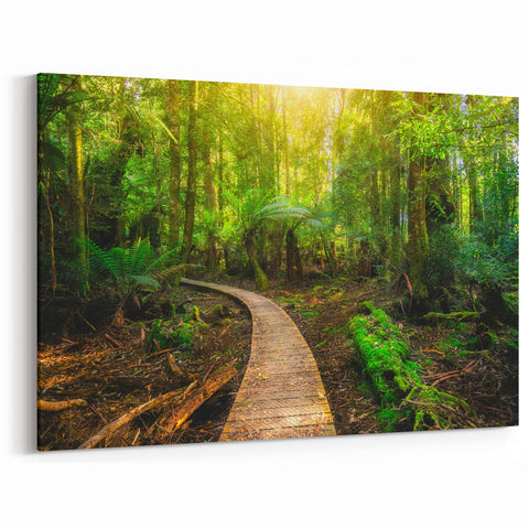 Serene Rainforest Pathway Wall Art - Tranquil Jungle Canvas Print