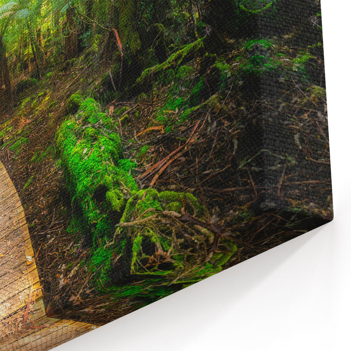 Serene Rainforest Pathway Wall Art - Tranquil Jungle Canvas Print