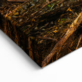 Serene Rainforest Pathway Wall Art - Tranquil Jungle Canvas Print