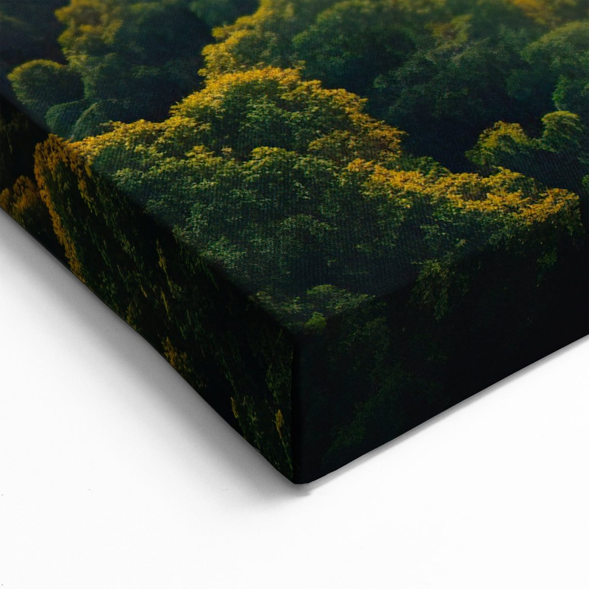 Golden Sunrise Over Rainforest - Majestic Tropical Jungle Canvas Art