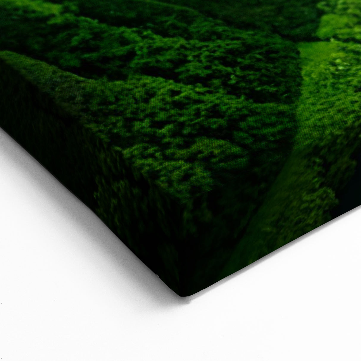 Majestic Rainforest River Valley - Serene Tropical Landscape Wall Art