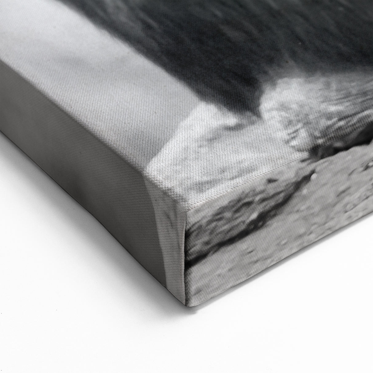 Intimate Chimpanzee Moment - Primate Wildlife Canvas Art Decor