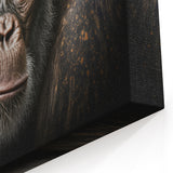 Portrait of a Chimpanzee - Primate Wildlife Canvas Art Decor