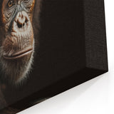 Thoughtful Chimpanzee Portrait - Primate Wildlife Canvas Art Decor