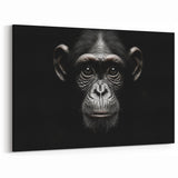 Dark Chimpanzee Portrait - Primate Wildlife Canvas Art Decor