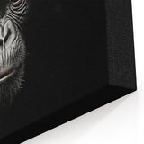 Dark Chimpanzee Portrait - Primate Wildlife Canvas Art Decor