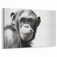 Monochrome Chimpanzee Portrait - Primate Wildlife Canvas Art Decor