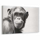 Monochrome Chimpanzee Portrait - Primate Wildlife Canvas Art Decor