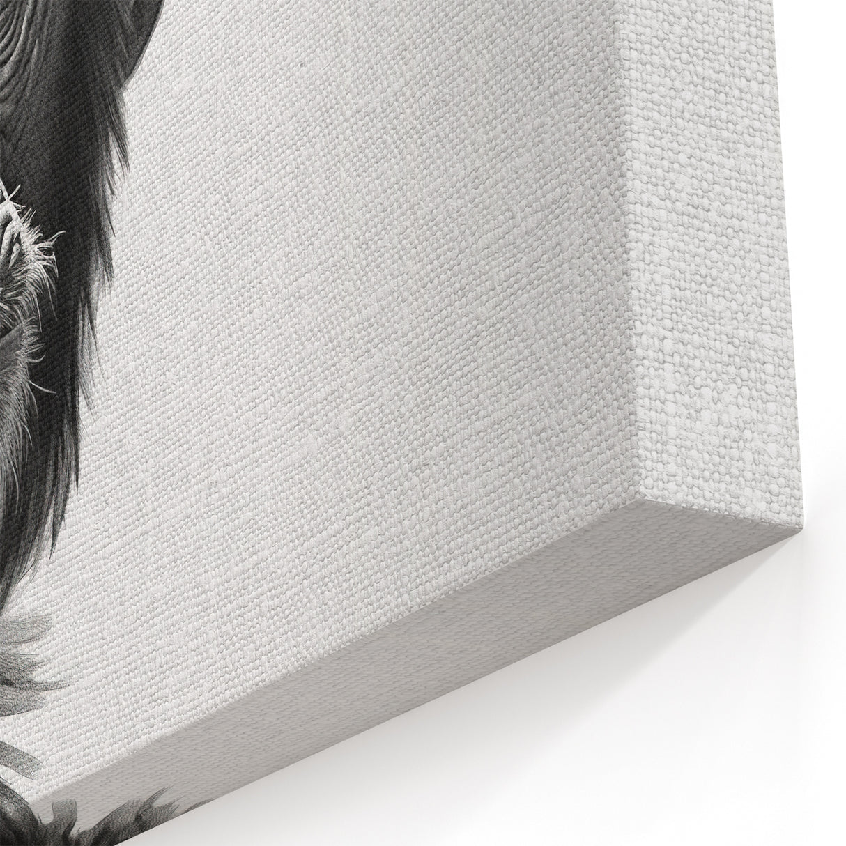 Monochrome Chimpanzee Portrait - Primate Wildlife Canvas Art Decor