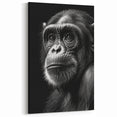 Moody Chimpanzee Portrait - Primate Wildlife Canvas Art Decor
